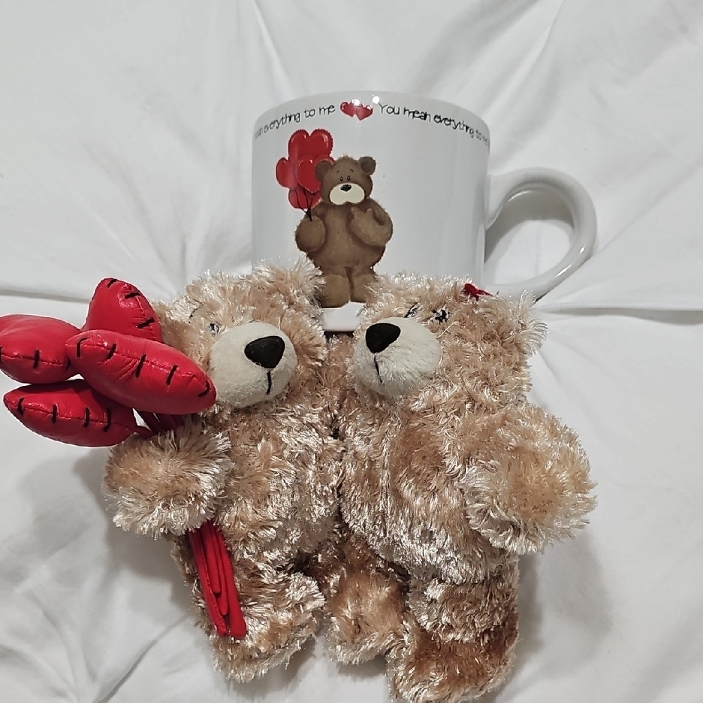 Cute Teddy Bear Mug and Plush Set